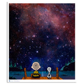 The Night's Sky