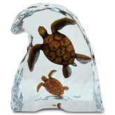 Sea Turtles