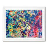 Ccoral Colors 82