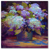 Hydrangea