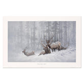 Mountain Majesty (Bull Elk, NRA Edition)
