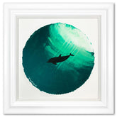 Dolphin Diving Deep
