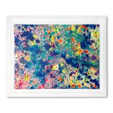 Coral Colors 79