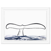 Whale Tail