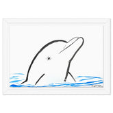 Dolphin