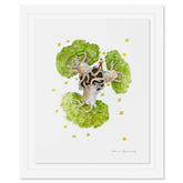 The Little Prince And The Baobabs