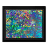 Coral Colors 62