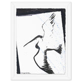 Pelican