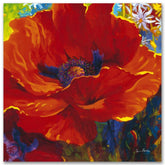 Your Beauty Lies Within