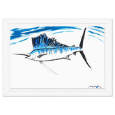 Sailfish