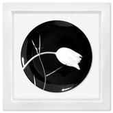 Tulip (1988)