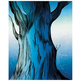Eucalyptus