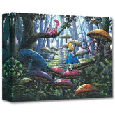 A Smile You Can Trust