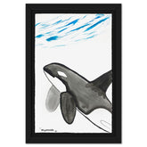 Orca
