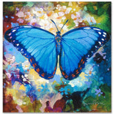 Blue Morpho