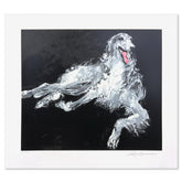 Borzoi