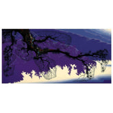 Purple Coastline