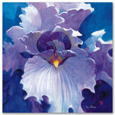 The Journey Never Ends