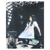 Dorothy and the Wicked Witch