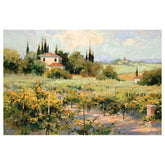 The Vineyard