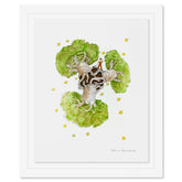 The Little Prince And The Baobabs