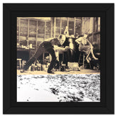 Jackson Pollock