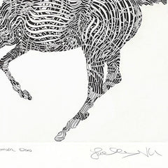 Shadow Dancer