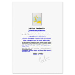 The Little Prince And The Snake