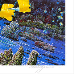 The Turtle and the Butterfly