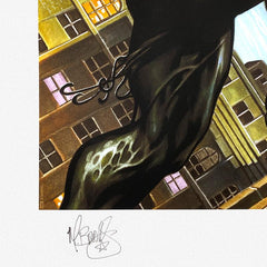 Spider-Man vs Venom