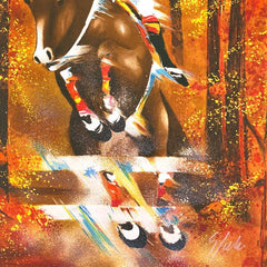 Show Jumping