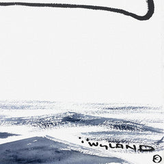Whale Tail