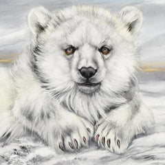 Polar Bear