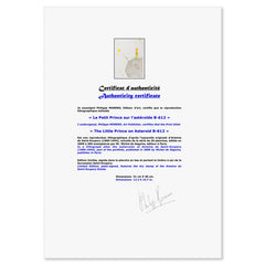 The Little Prince On Asteroid B-612