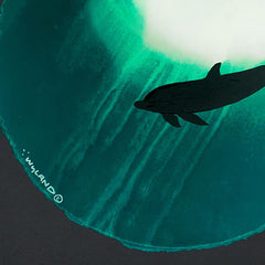 Dolphin Glide