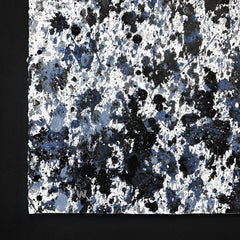 Splash 172