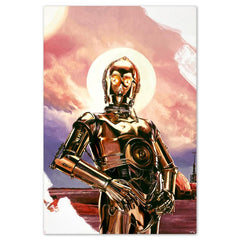 A New Hope: C-3PO & R2-D2 (Set of 2)