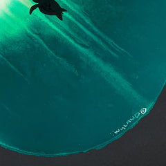 Streams of light in the sea