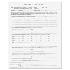 Augusta #12 In The Fall