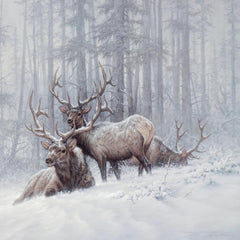 Mountain Majesty