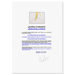 The Little Prince On His Planet