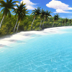 Endless Beaches