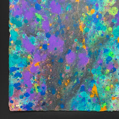 Coral Colors 8