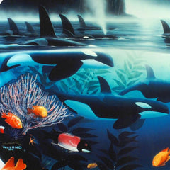 Orca Journey