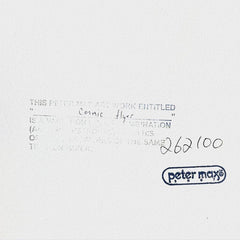 Cosmic Flyer