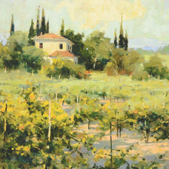 The Vineyard