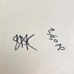 George Washington, Father of Our Nation