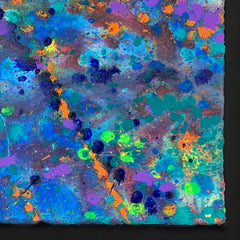 Coral Colors 52