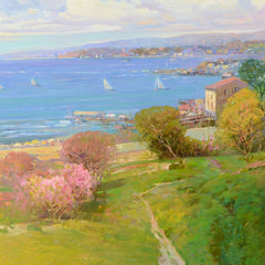 Panoramic View