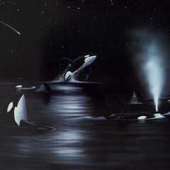 Orca Starry Night